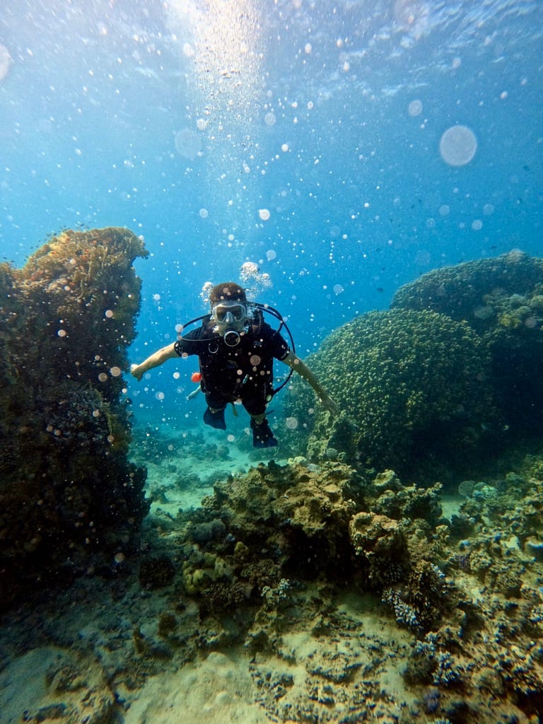 Diving with Aqaba Leaders dive center