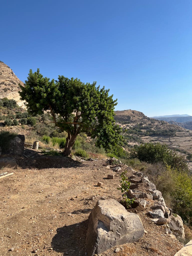 View from the Wild Dana Eco Lodge