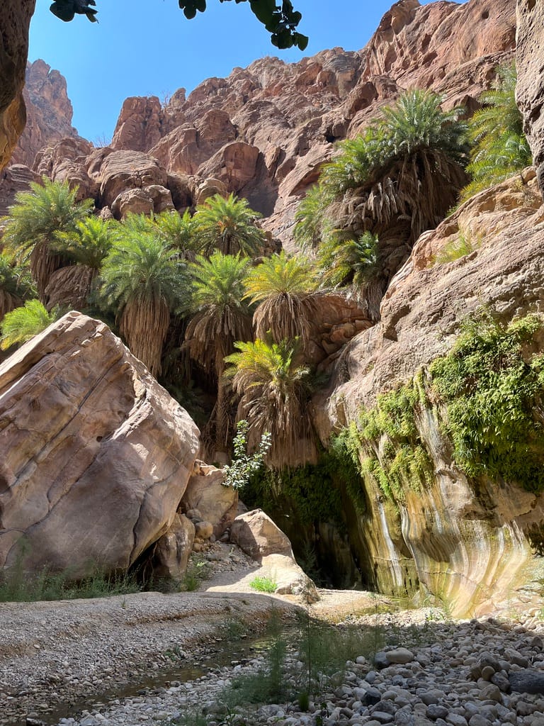 Oasis halfway the Wadi Ghuweir hike